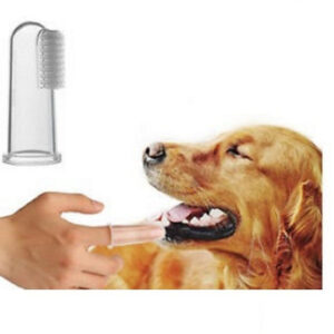 30 Cepillos De Dientes Súper Suave Para Mascotas Perro Gato